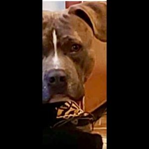 Meet your Posher, Genarina